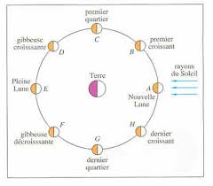 Représentation des différentes phases lunaires